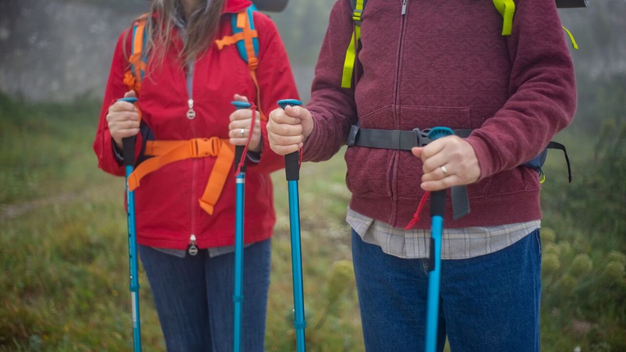 best walking poles
