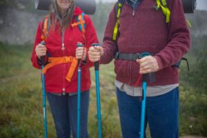 best walking poles