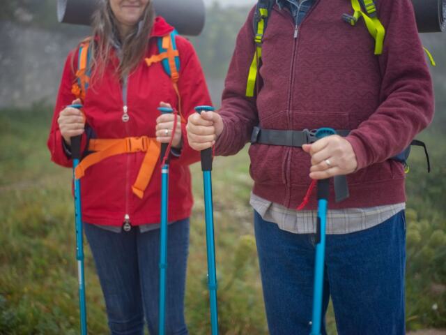 Best walking poles